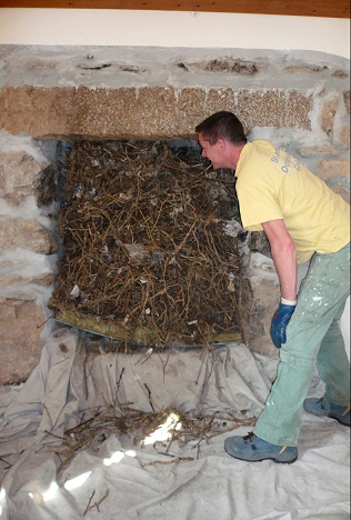 Bird's nests in your chimney can be a fire hazard!